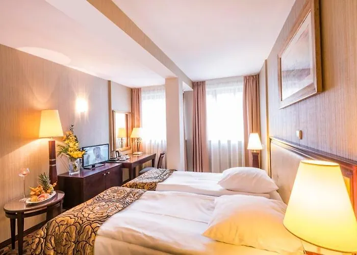 Great Polonia Kazimierz Kraków