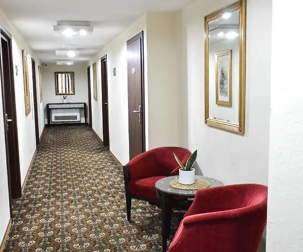 Great Polonia Kazimierz