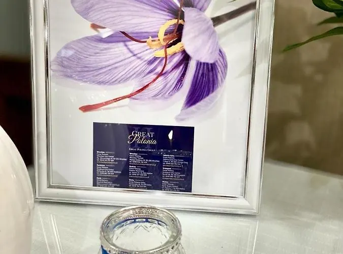 Great Polonia Kazimierz 4* Krakau