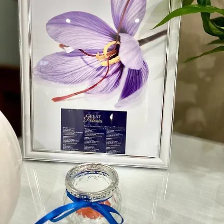 Great Polonia Kazimierz 4* 크라쿠프